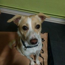 christel-haendler Avatar