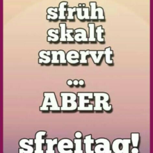 sandra-stephan Avatar