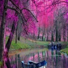 anette-doellein Avatar