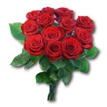 annerose-danhauser Avatar