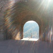 andrea-hanusch Avatar