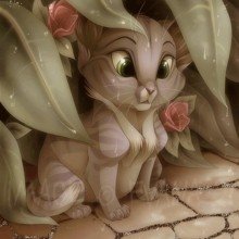 Mutschekipchen Avatar