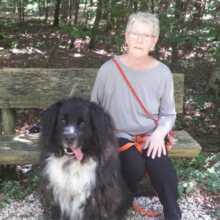 marianne-maier Avatar