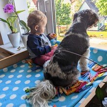 reginamueller1957 Avatar