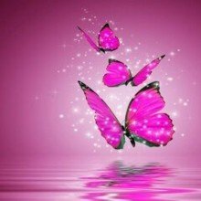 steffi-enterlein Avatar