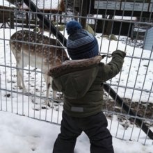 carolin-wiedmann Avatar