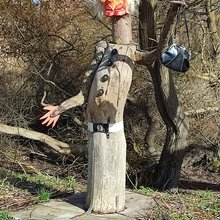 ulrike-nehring Avatar