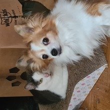 martina-kirschner Avatar