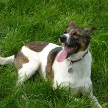 anke-schlesier Avatar