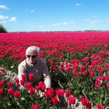 marianne-hessling Avatar