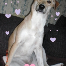 carmen-stopienski Avatar