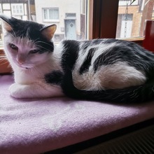 martina-woelk-ulonska1 Avatar