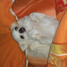 christiane-heintze Avatar