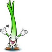 Zwiebelchen2312 Avatar