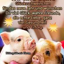 sonja-fuender1 Avatar