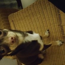 monika-zimmermann1 Avatar