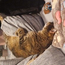 sabine-hoffmann1 Avatar