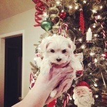 frankie-glass Avatar