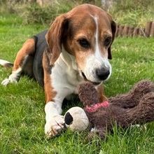 katja-bleymehl Avatar