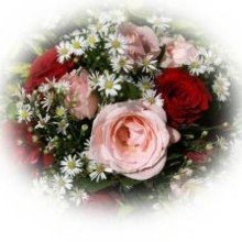 Radi2630 Avatar