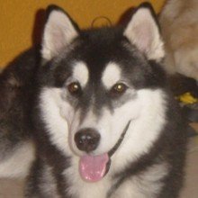 KnitBig-FeelGreat Avatar