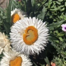 theresa-woerner Avatar