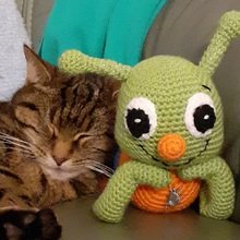 barbara-milow Avatar