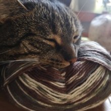 kathrin-beck1 Avatar