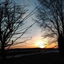 waltraud-knappenberger Avatar