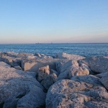 sibylle-boser Avatar