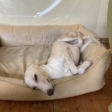 martina-berger2 Avatar