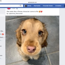 silvia-piccardi Avatar