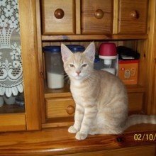 gaby-steinmetz Avatar