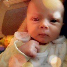 blanche-antinori Avatar