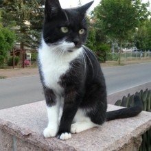 christel-mueller Avatar