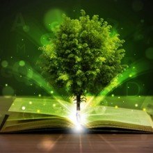 kleiner-diamant Avatar