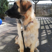 klaus-michelbach Avatar