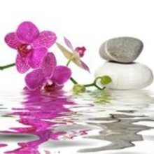 karin-krumbein Avatar