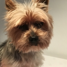 HeikeWeinberg Avatar