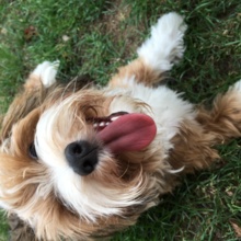 michaela-klottka Avatar