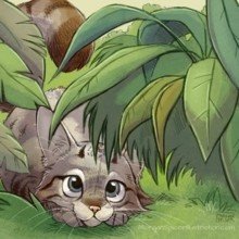 carol-schriner Avatar