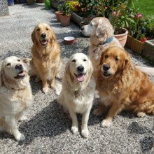 sabine-kerwien Avatar