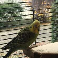 gabriela-jakob Avatar