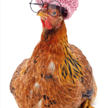 marie-therese-baldenweg Avatar