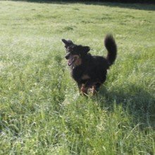 faustina-keller Avatar