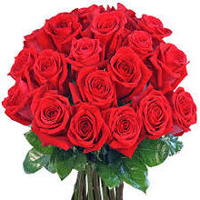 ute-oehlschaeger Avatar