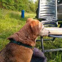 heike-remmert Avatar