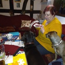 eleonore-braun-folta Avatar