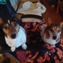 melanie-schiffbauer Avatar