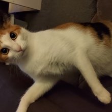 sandy-steffen Avatar